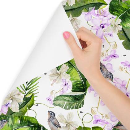 Tapeta Do Salonu Rośliny Natura Storczyki Kwiaty