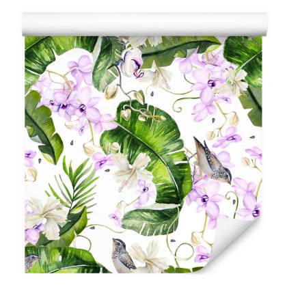 Tapeta Do Salonu Rośliny Natura Storczyki Kwiaty