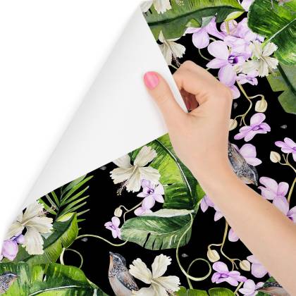Tapeta Do Salonu Storczyki Natura Kwiaty Rośliny