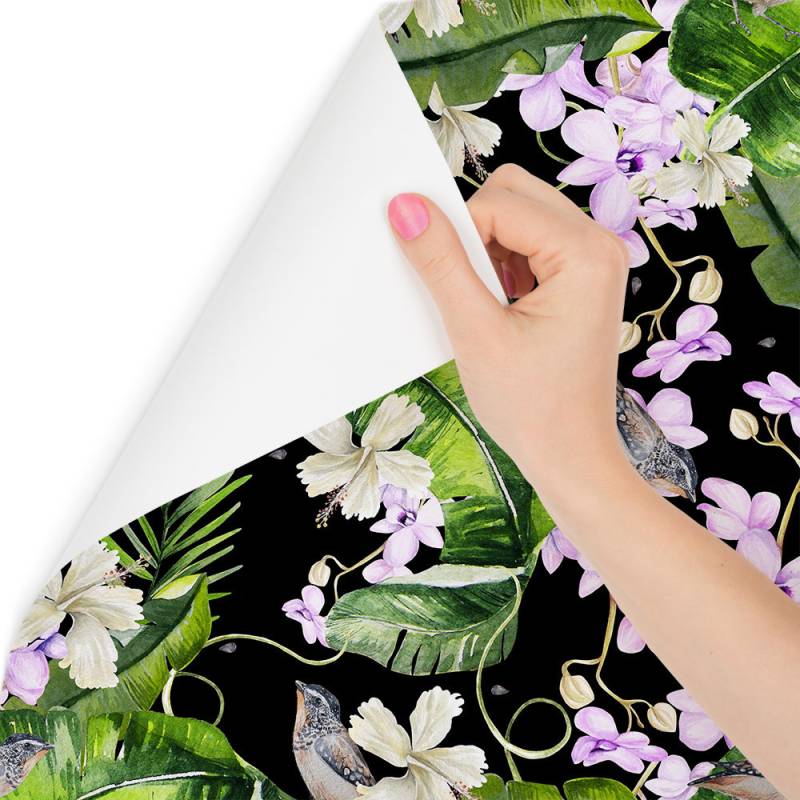 Tapeta Do Salonu Storczyki Natura Kwiaty Rośliny