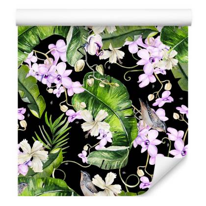 Tapeta Do Salonu Storczyki Natura Kwiaty Rośliny