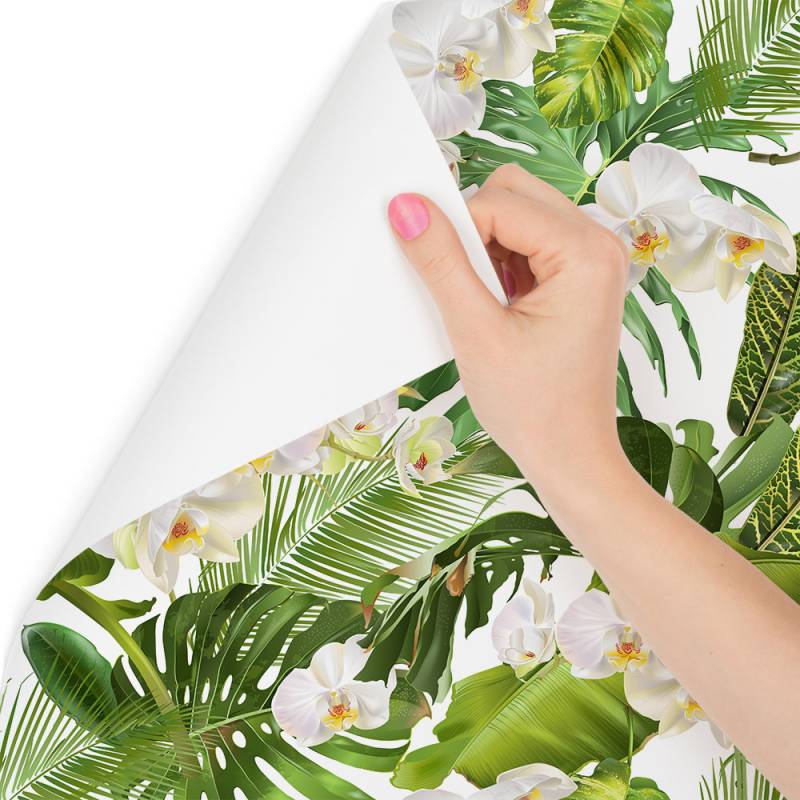 Tapeta Kwiaty Storczyki Natura Zieleń Do Salonu
