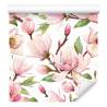 Tapeta Wiosenne Kwiaty Magnolii