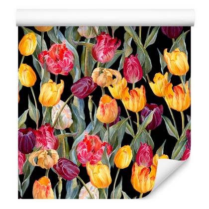Tapeta Kolorowe Tulipany