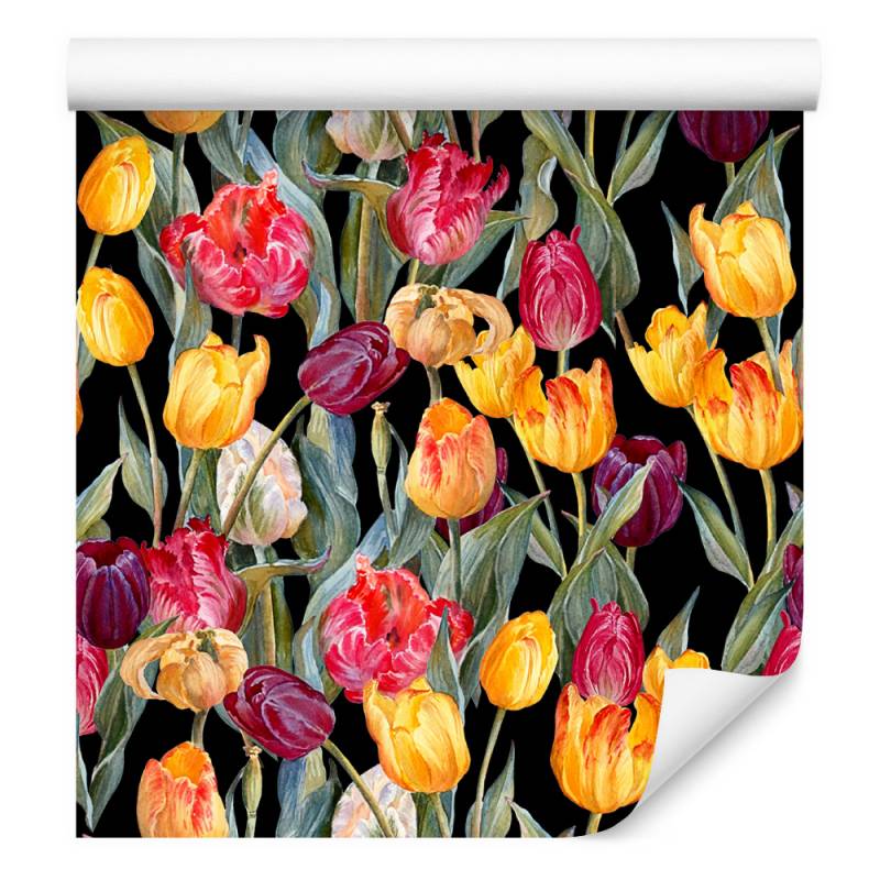 Tapeta Kolorowe Tulipany