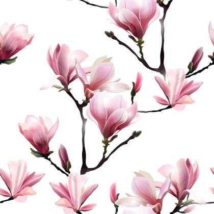 Tapeta Różowe Kwiaty Magnolii