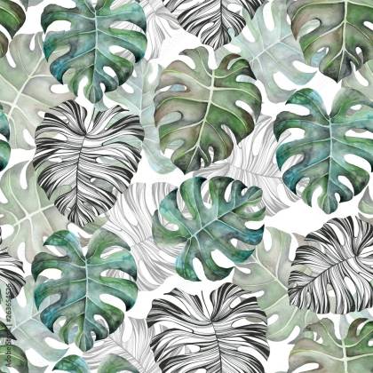 Tapeta Liście Monstera