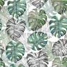 Tapeta Liście Monstera