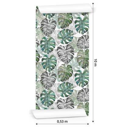 Tapeta Liście Monstera