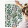 Tapeta Liście Monstera