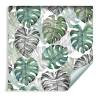 Tapeta Liście Monstera