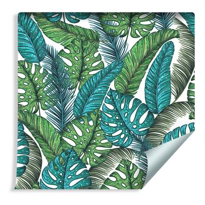 Tapeta Liście Monstera Dżungla