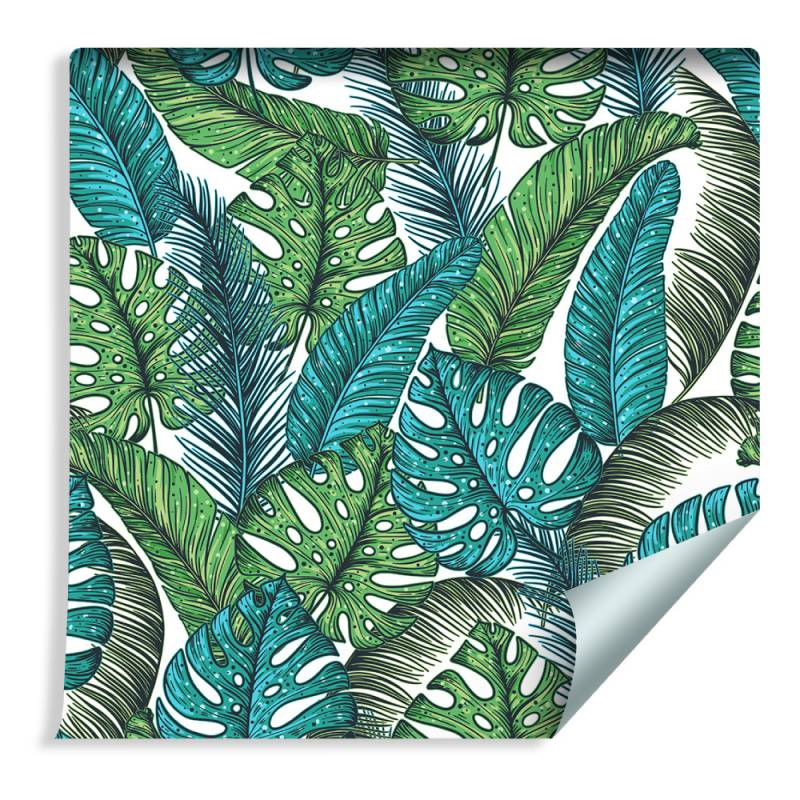 Tapeta Liście Monstera Dżungla