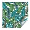 Tapeta Liście Monstera Dżungla