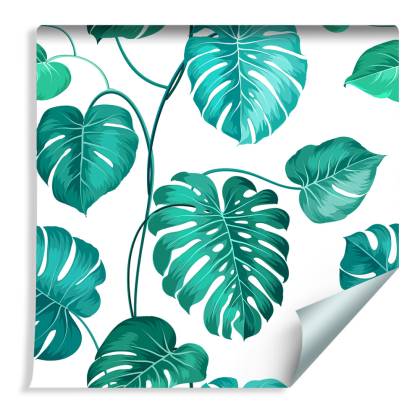 Tapeta Liście Monstera Natura