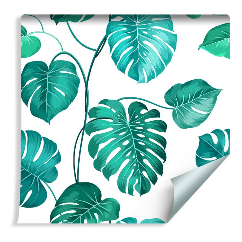 Tapeta Liście Monstera Natura