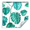 Tapeta Liście Monstera Natura