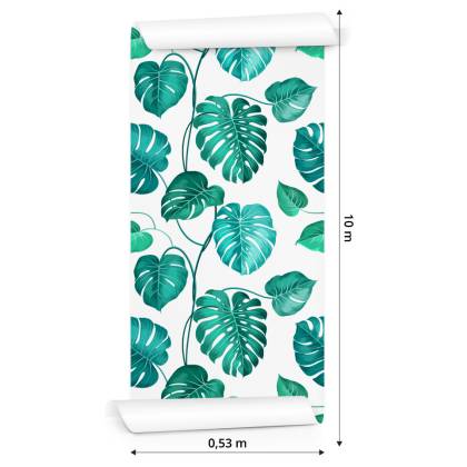 Tapeta Liście Monstera Natura