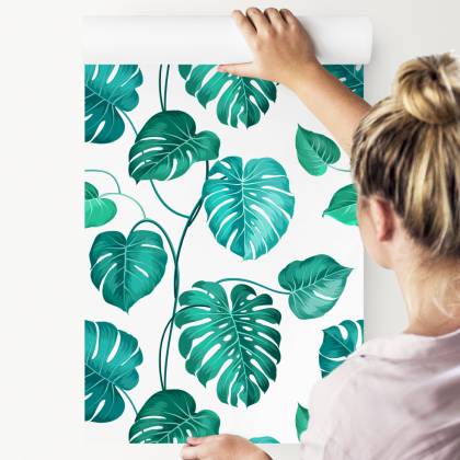 Tapeta Liście Monstera Natura