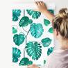 Tapeta Liście Monstera Natura