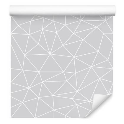 Tapeta Nowoczesny Wzór Geometryczny