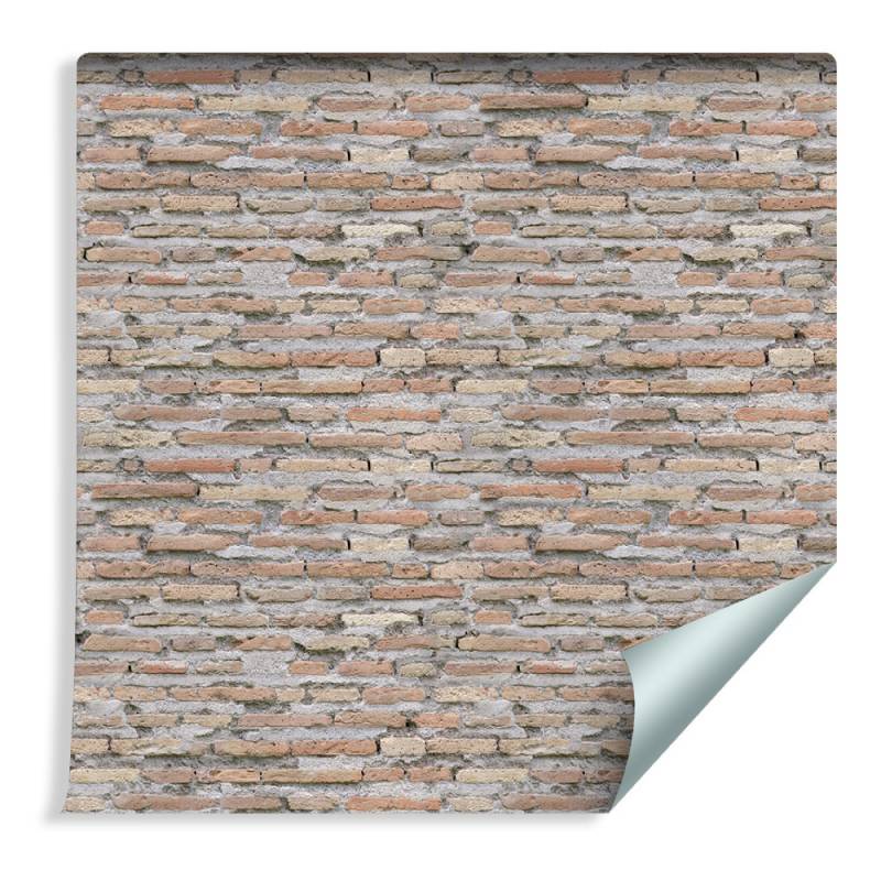 Tapeta Stare Cegiełki Cegły Mur Efekt 3D