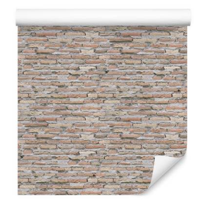 Tapeta Stare Cegiełki Cegły Mur Efekt 3D