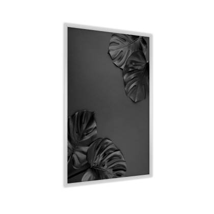 Plakat Czarne Liście Monstery Rama Aluminiowa Kolor Srebrny