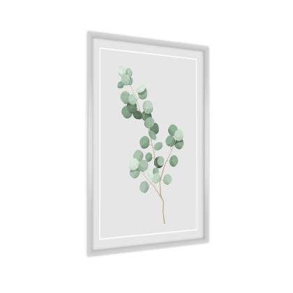 Plakat Delikatne Liście Eukaliptusa Rama Aluminiowa Kolor Czarny