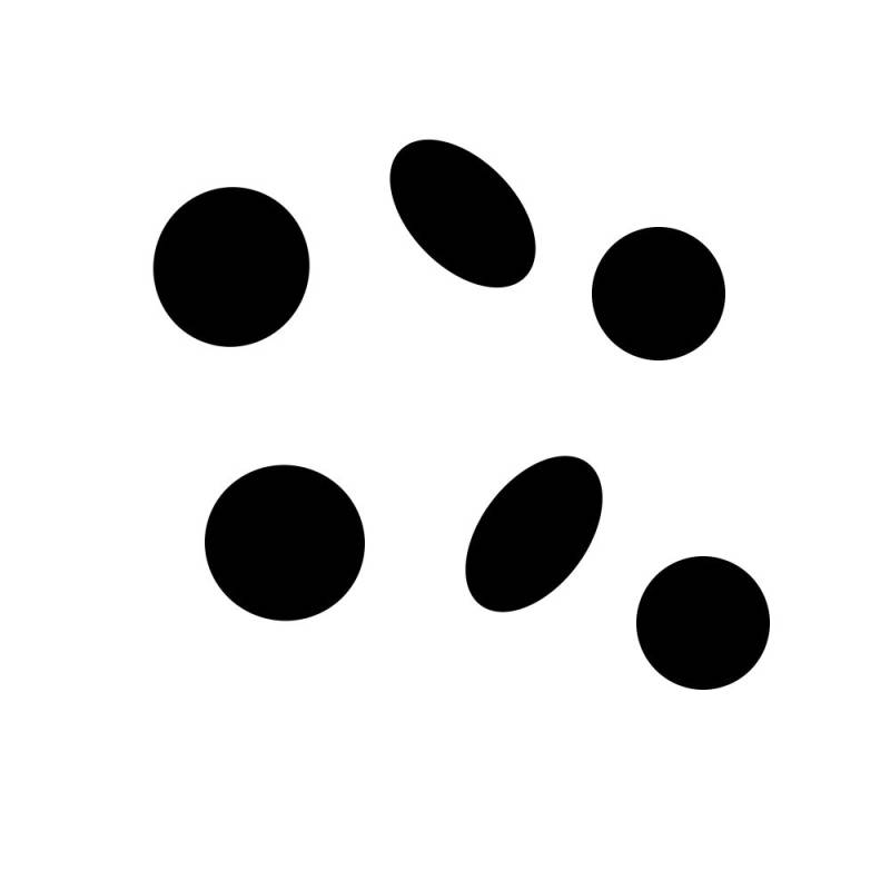 Szablon malarski GEO101 Organic Shapes 6 – wzór