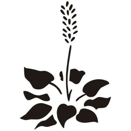 Szablon malarski FL5-175,...