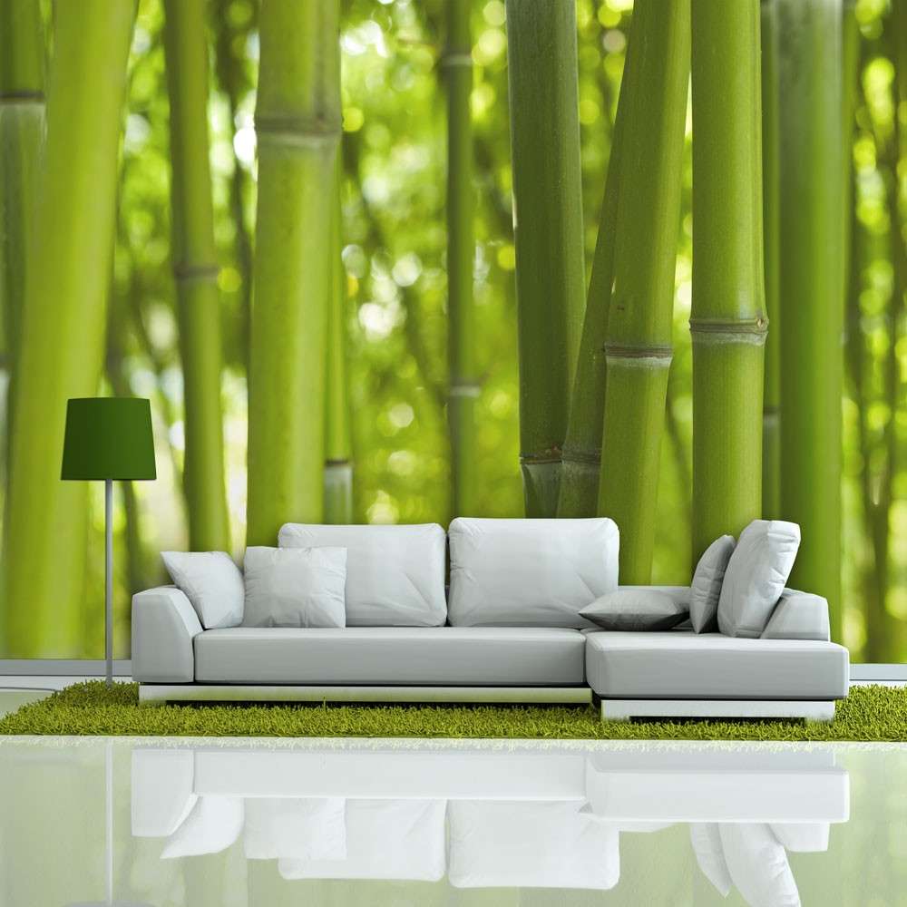 Fototapeta  bambus  zielony