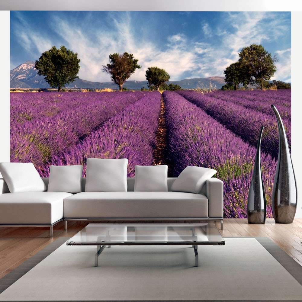 Fototapeta  Lavender field in Provence, France