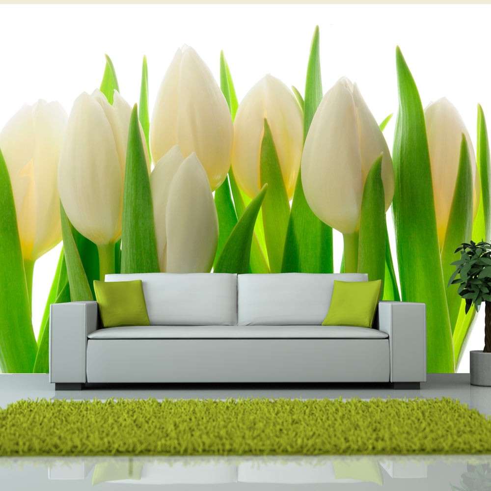 Fototapeta  Białe tulipany