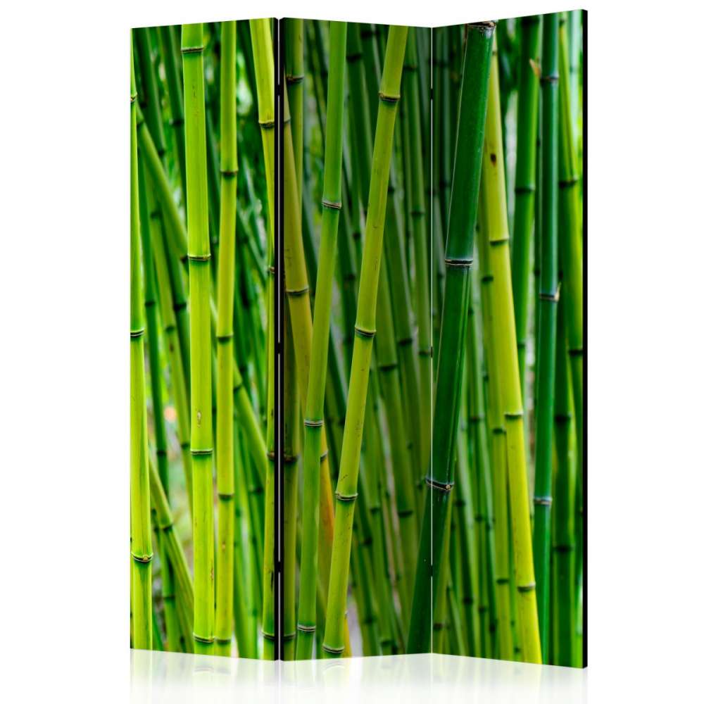 Parawan 3częściowy  Bambusowy las [Room Dividers]
