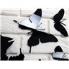 Zegar ścienny Motyle 3D Black | Dekormania