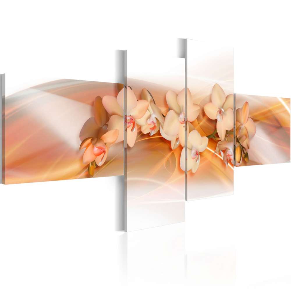 Obraz  Kremowe kwiaty  Orchidee