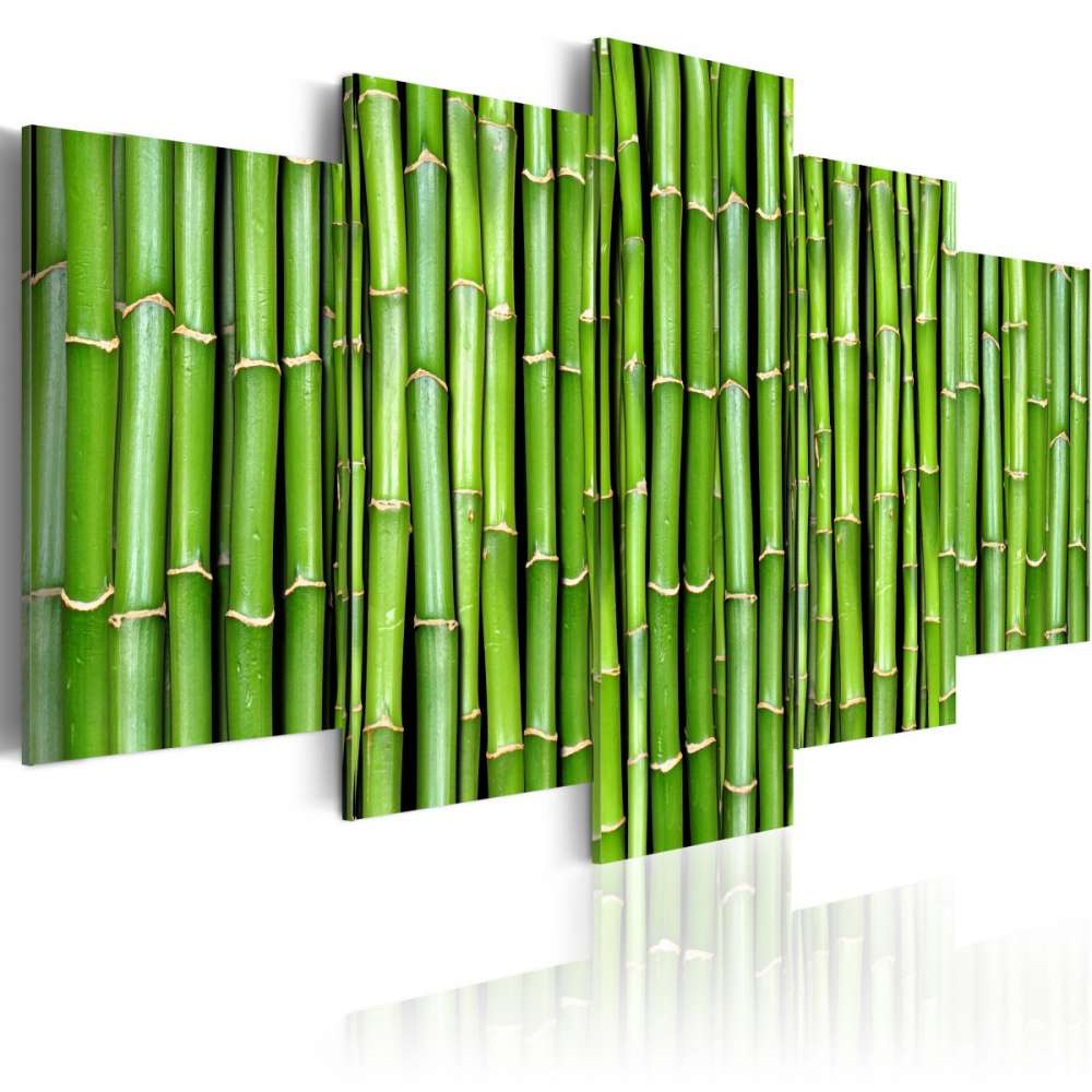 Obraz  Bambus  harmonia i prostota
