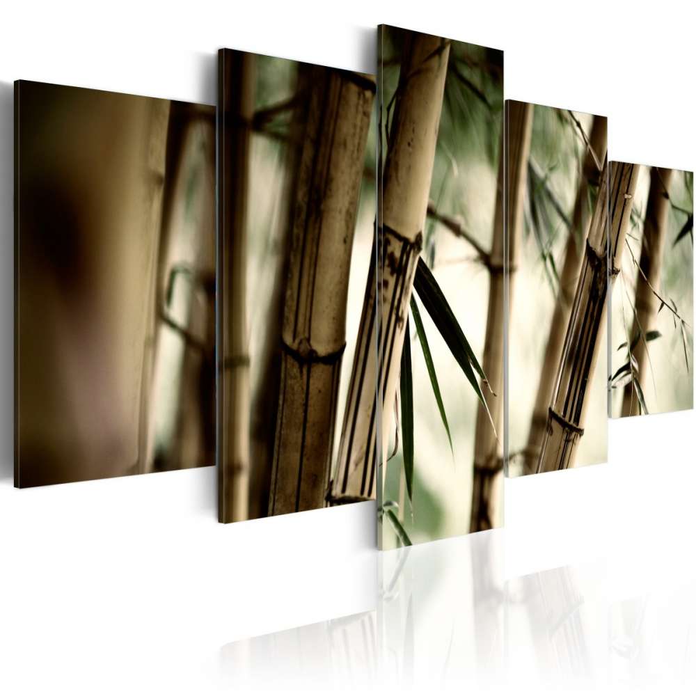 Obraz  Azjatycki las bambusowy