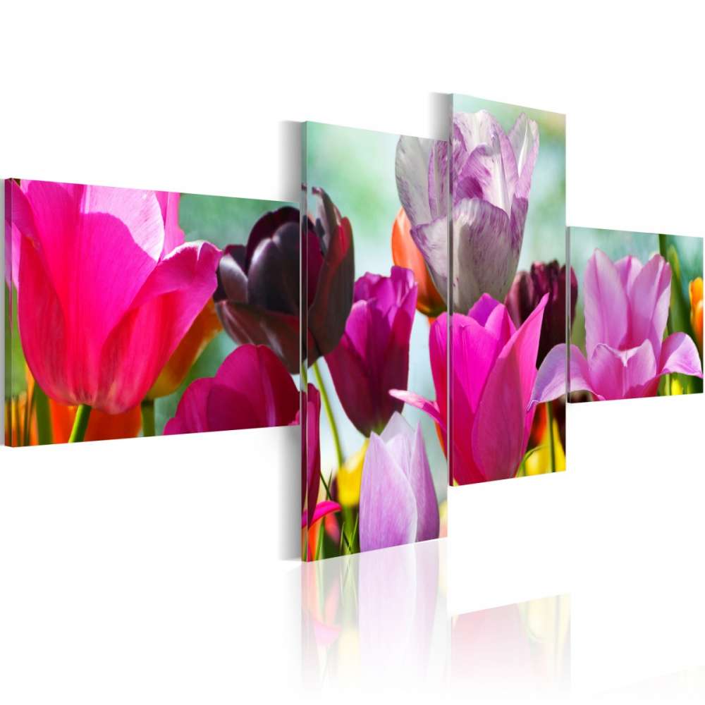 Obraz  Czar różowych tulipanów