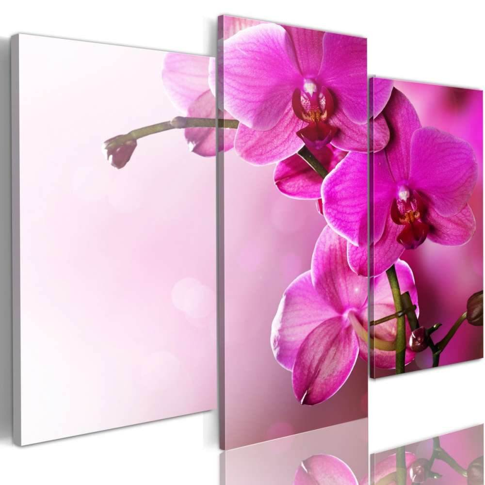 Obraz  Ciemnoróżowa orchidea