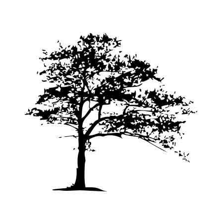 Naklejka dekoracyjna PX 15,...