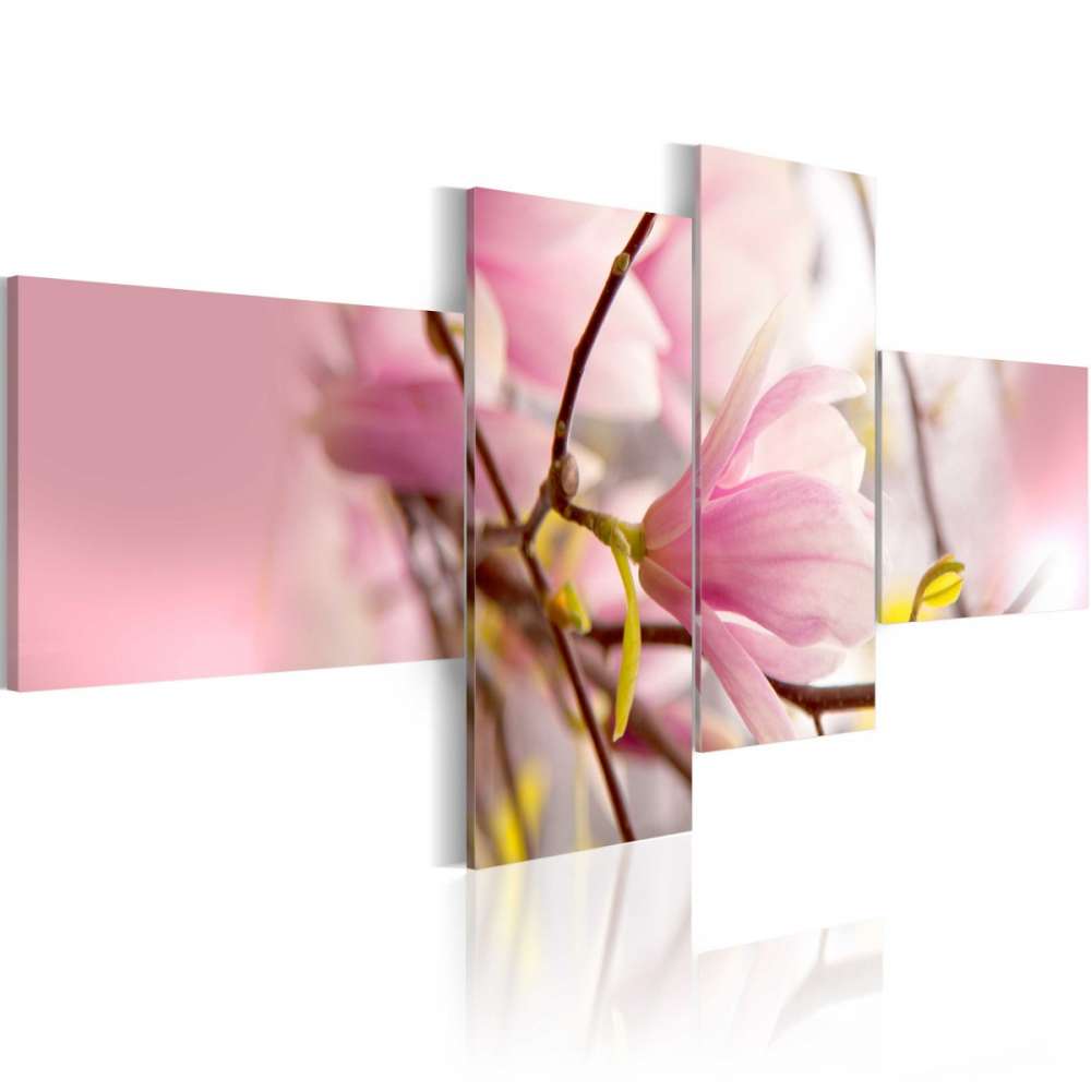 Obraz  Gałąź krzewu magnolii