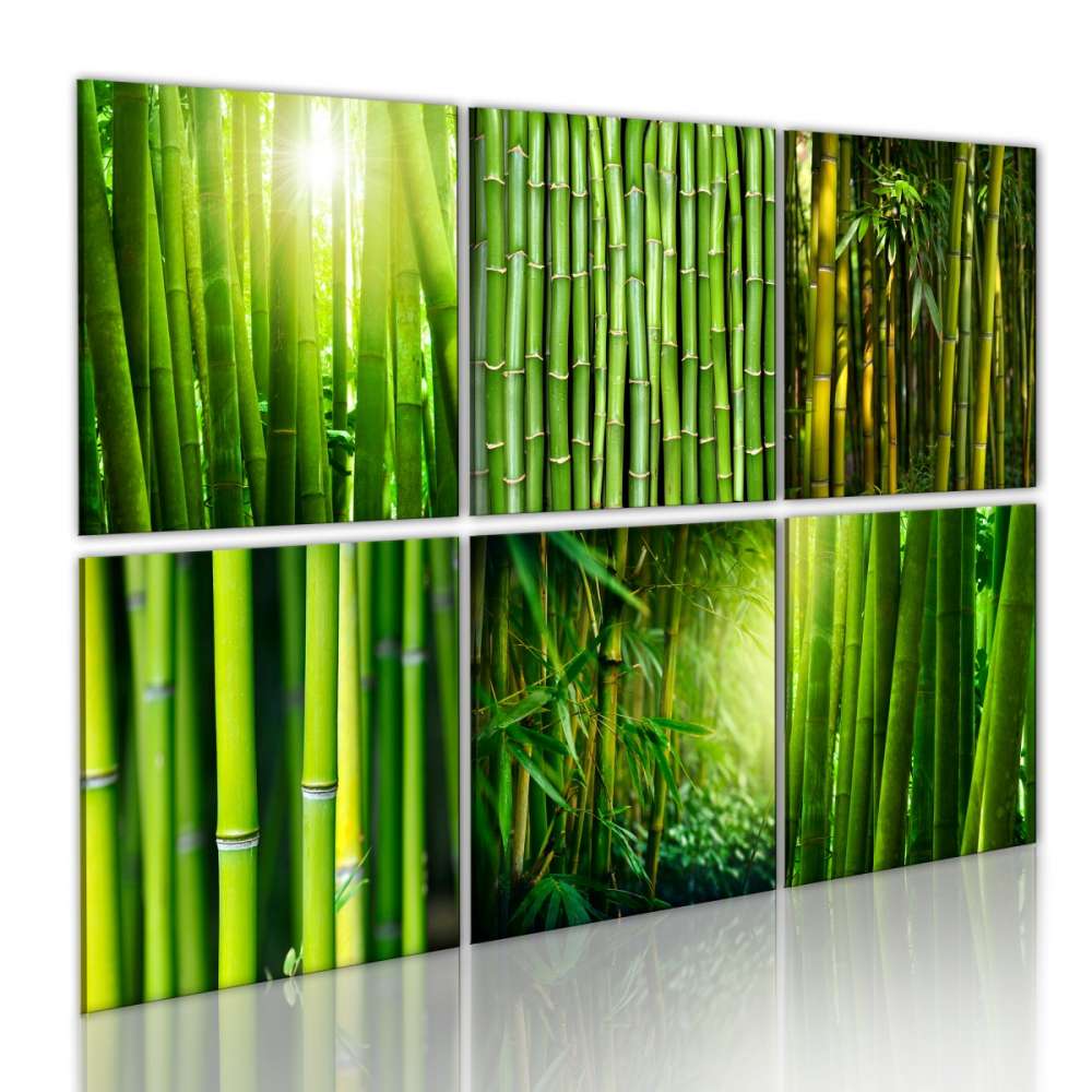 Obraz  Bambus w kilku odsłonach