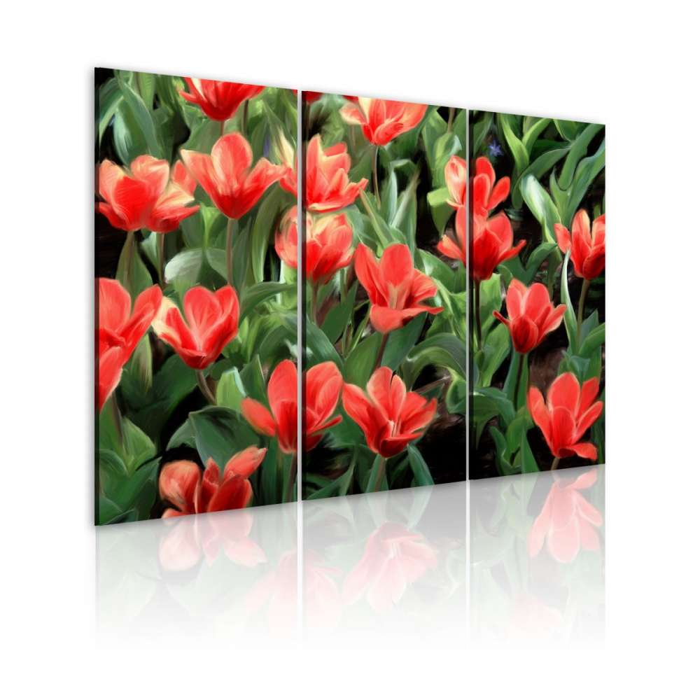 Obraz  Czerwone tulipany w rozkwicie