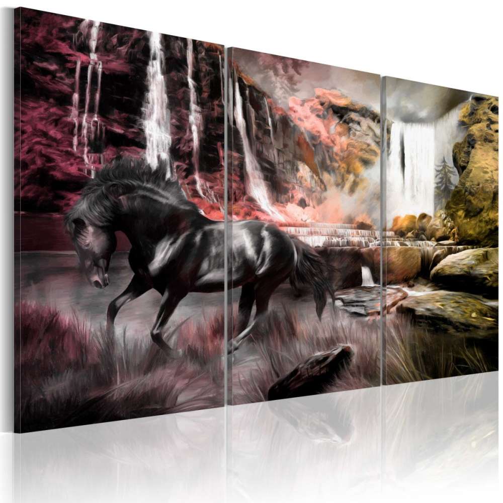 Obraz  Czarny koń przy wodospadzie