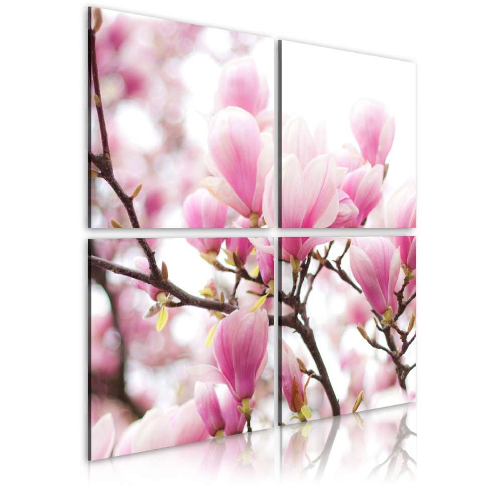 Obraz  Kwitnące drzewo magnolii