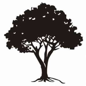 Naklejka dekoracyjna PX 76,...