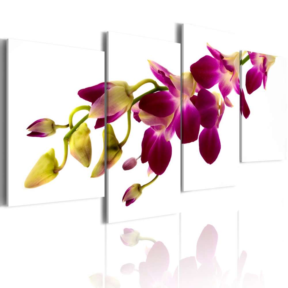 Obraz  Blask orchidei
