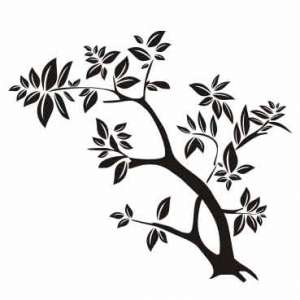 Naklejka dekoracyjna PX...